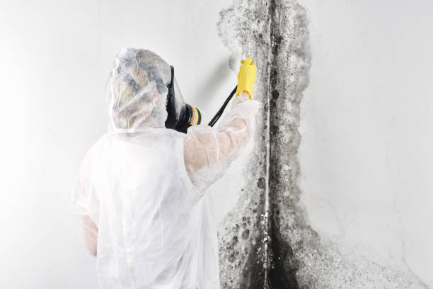 Professional Water damage restoration in Mar Mac, NC