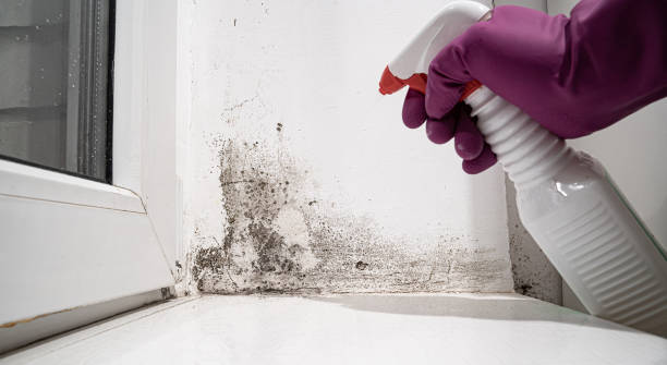 Best 24/7 water damage repair  in Mar Mac, NC